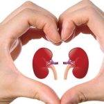 10 Tips Sederhana Menjaga Kesehatan Ginjal yang Optimal