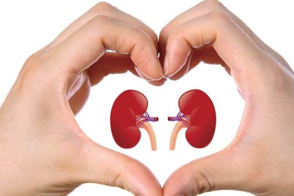 10 Tips Sederhana Menjaga Kesehatan Ginjal yang Optimal