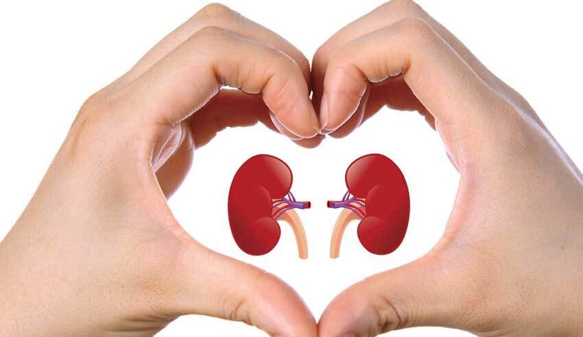 10 Tips Sederhana Menjaga Kesehatan Ginjal yang Optimal