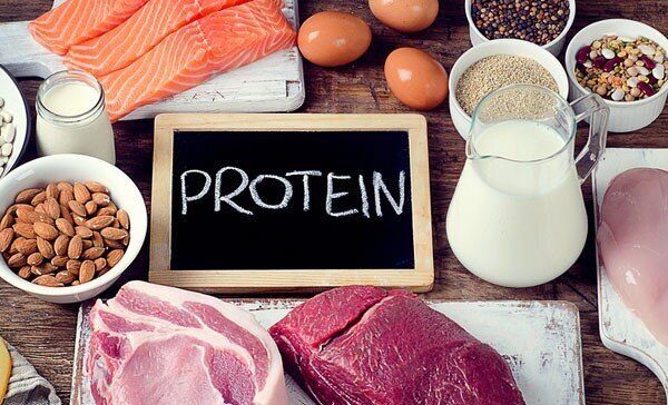 10 Sumber Protein Terbaik untuk Membangun Otot