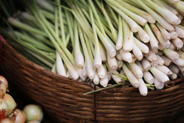 10 Ramuan Herbal yang Direkomendasikan untuk Meredakan Nyeri Bahu 10 Ramuan Herbal yang Direkomendasikan untuk Meredakan Nyeri Bahu